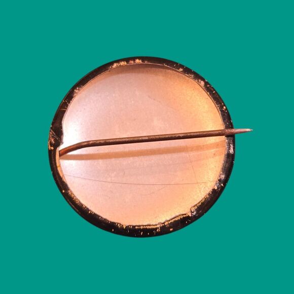 1964 Barry Goldwater & William E. Miller Presidential Campaign Pinback Buttons - Picture 4 of 7